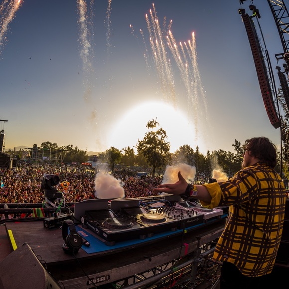 Meet your Posher, Oscar and Oscar Jr. - Picture 5 of 6